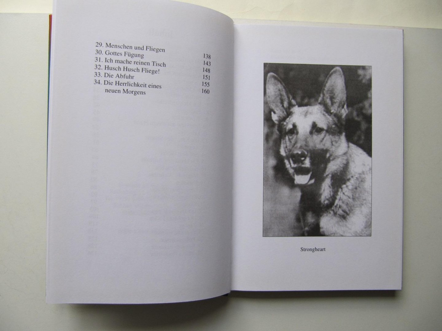 Boone, J.  Allen - Die grosse Gemeinschaft der Schöpfung / Gespräche zwischen Mensch und Tier