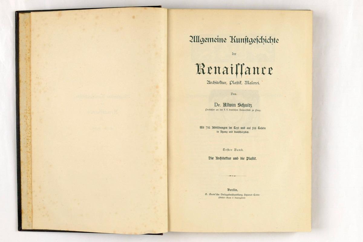 Schultz, Dr. Alwin - Allgemeine Kunstgeschichte der Renaissance. Architectur, plastik, Malerei (6 foto's)