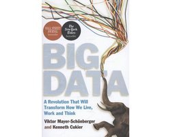Viktor Mayer-Schönberger - Big Data