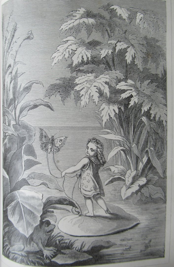 Andersen, Hans Christian - Sämmtliche Märchen. met 67 in de tekst en 12 paginagrote illustraties