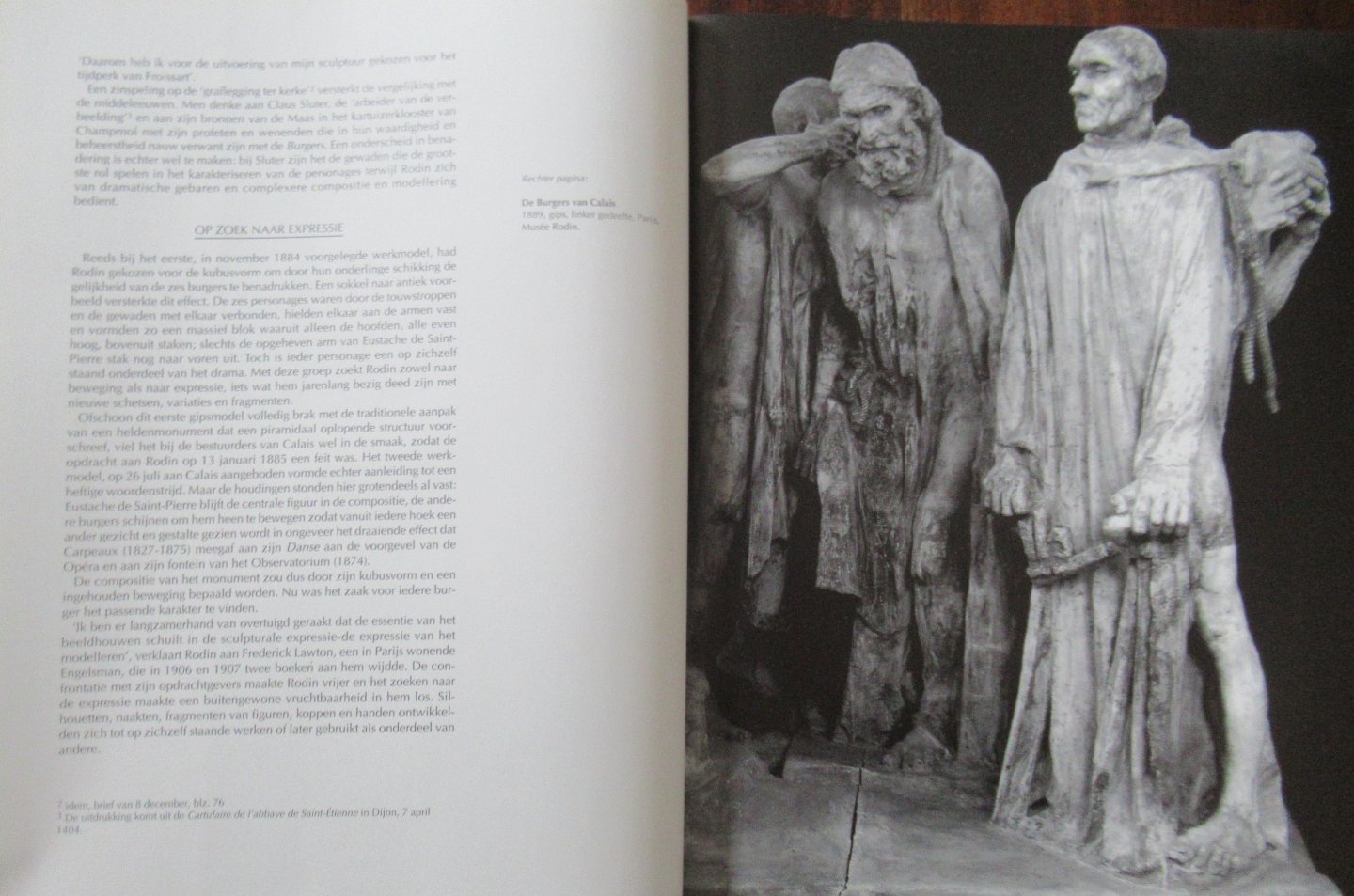 Jarrasse, Dominique - Rodin