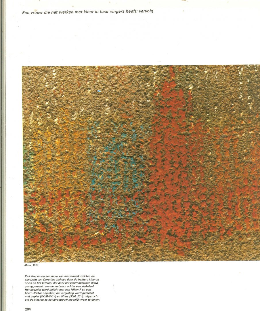 Redactie van Time-Life Books Nederlandse vertaling  Harry Kuiper - De Kleur uit de Serie life Fotografie