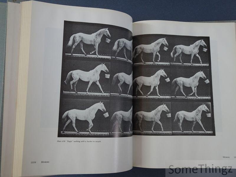 Eadweard Muybridge. - Muybridge's complete human and animal locomotion. All 781 plates from the 1887 Animal Locomotion by Eadweard Muybridge. [3 vol.]