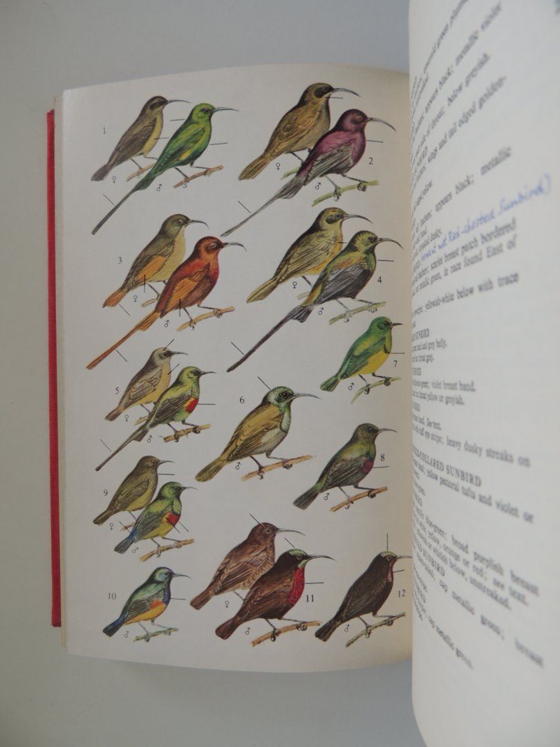 Williams, John G. - A field guide to the birds of east and Central Africa. Introduced by Roger Tory Peterson