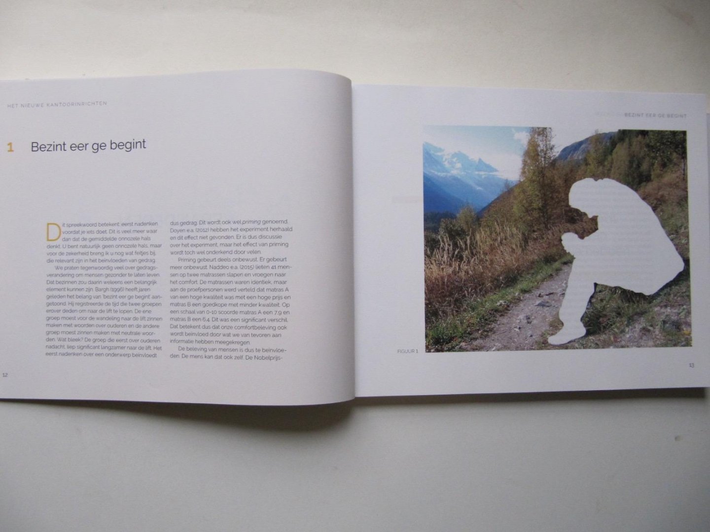 Vink, Peter - Het nieuwe kantoorinrichten