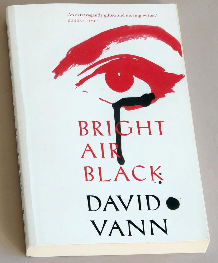 Vann, David - Bright Air Black