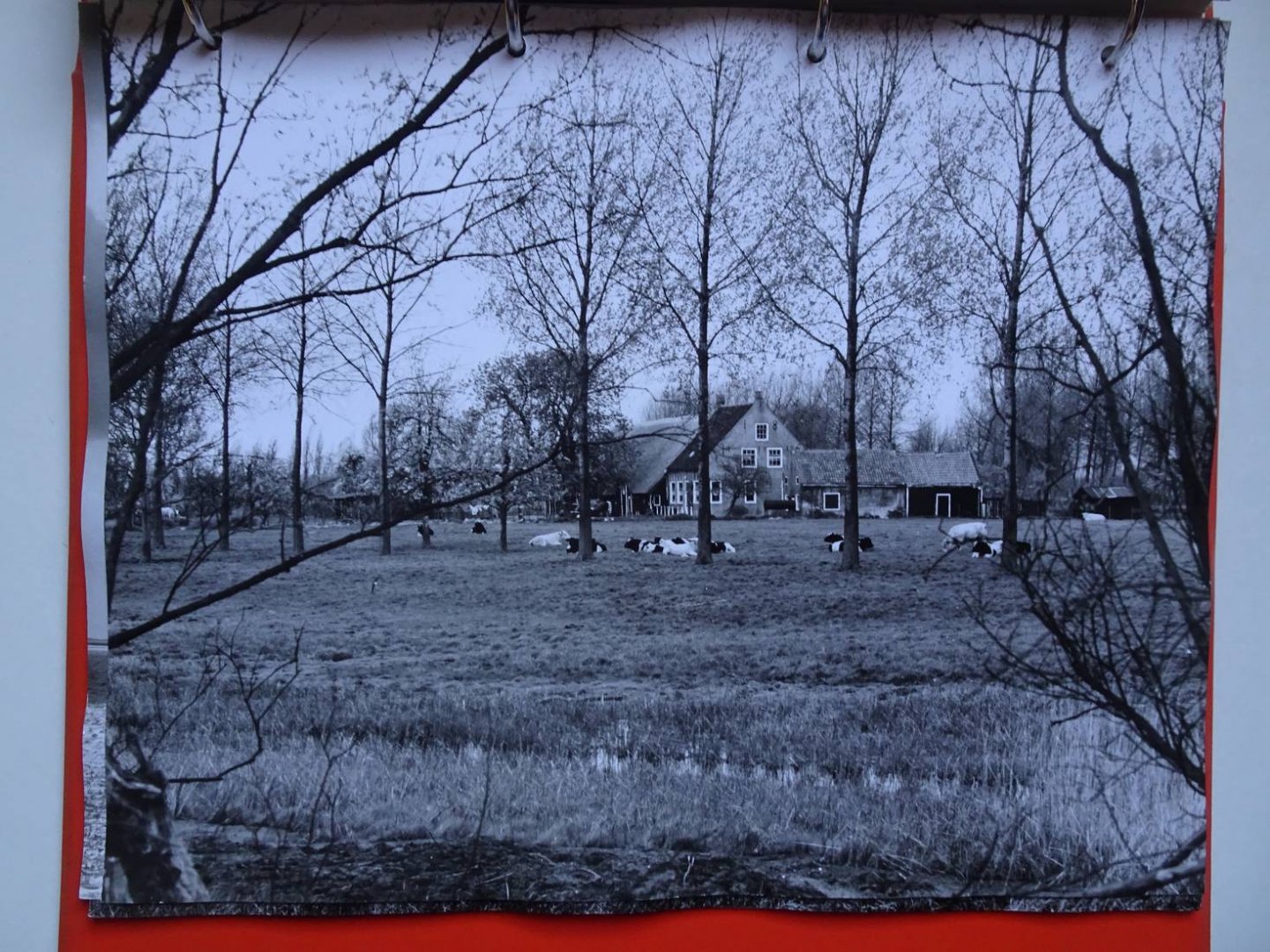 N.n.. - Gemeente Borsele. Landschap met 15 dorpen. Fotoboek, aangeboden aan de Commissaris der Koningin in Zeeland en mevrouw van Aertsen, bij het officieel gemeente-bezoek op donderdag, 17 januari 1974.