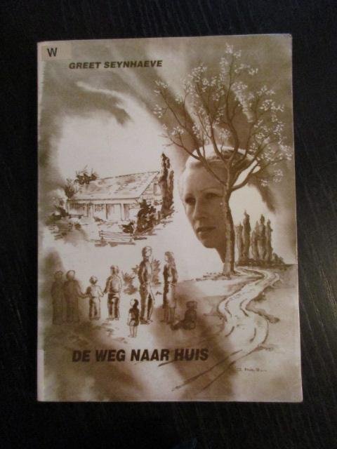 Seynhaeve, Greet - De weg naar huis