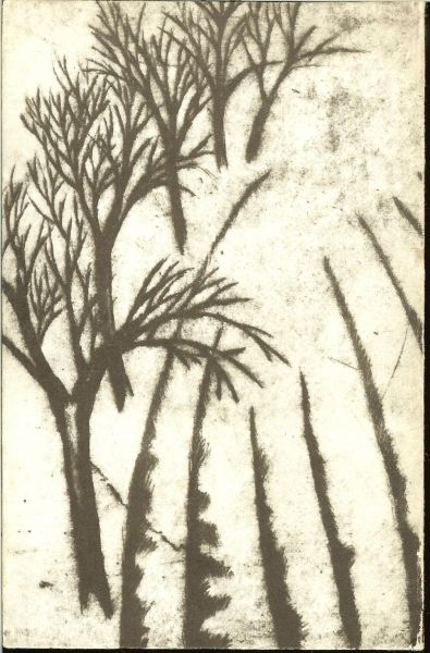 Vladimir Komárek. Graphik - 24 zum teil farbige Bildtafeln