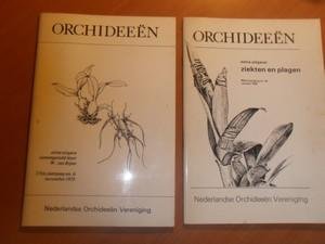 Rijen, W van. - Orchideeen, 37e jaargang no. 6 november 1975 + 40e jaargang no. 4a oktober 1978