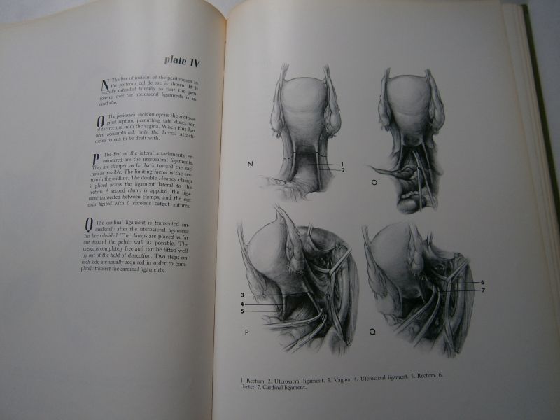 Nelson jr.  J.H. - Atlas of radical pelvic surgery