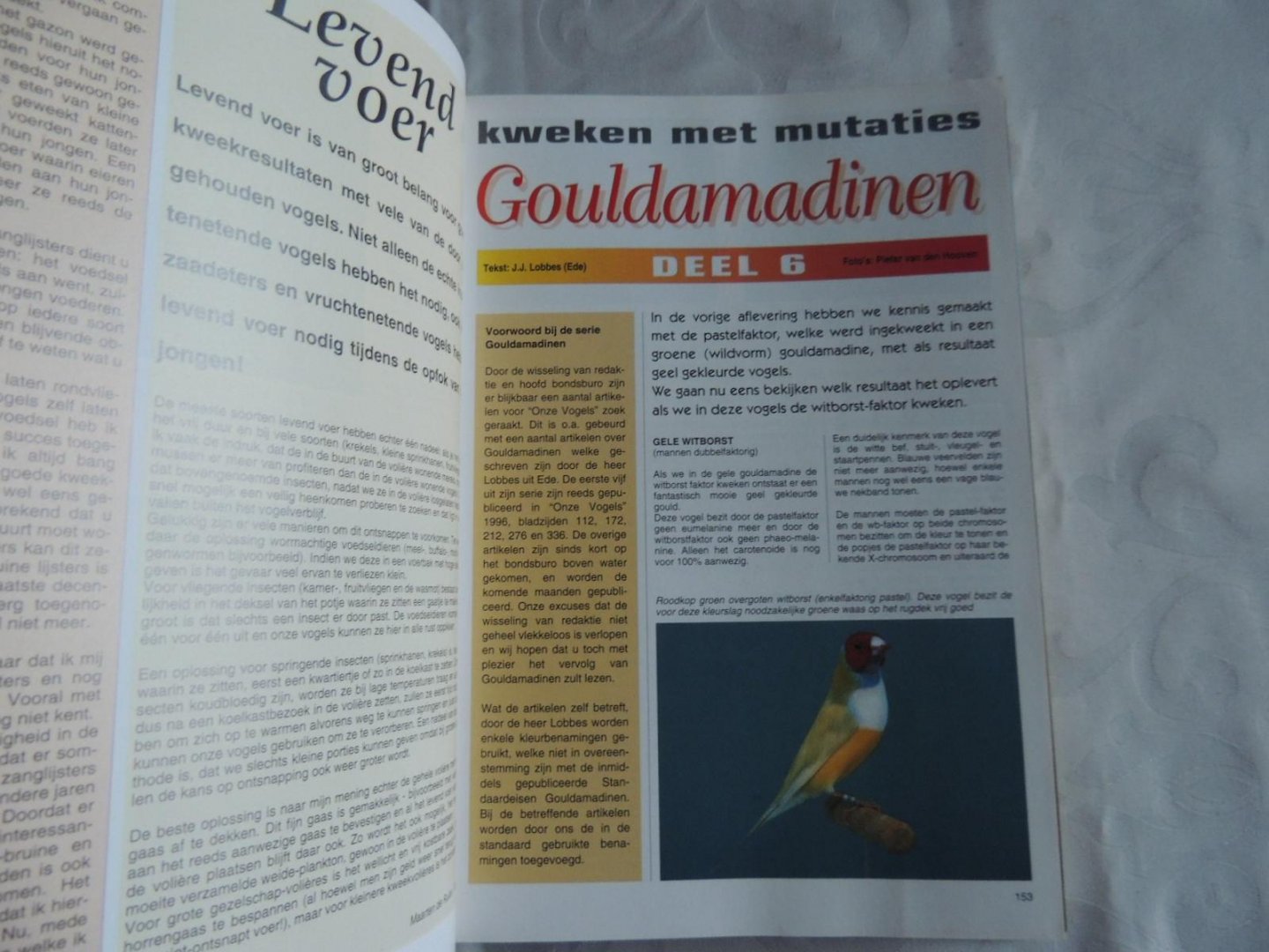 Indiener Oh jee Madison Boekwinkeltjes.nl - Onze vogels. Maandblad van de nederlandse bond van  vogellief