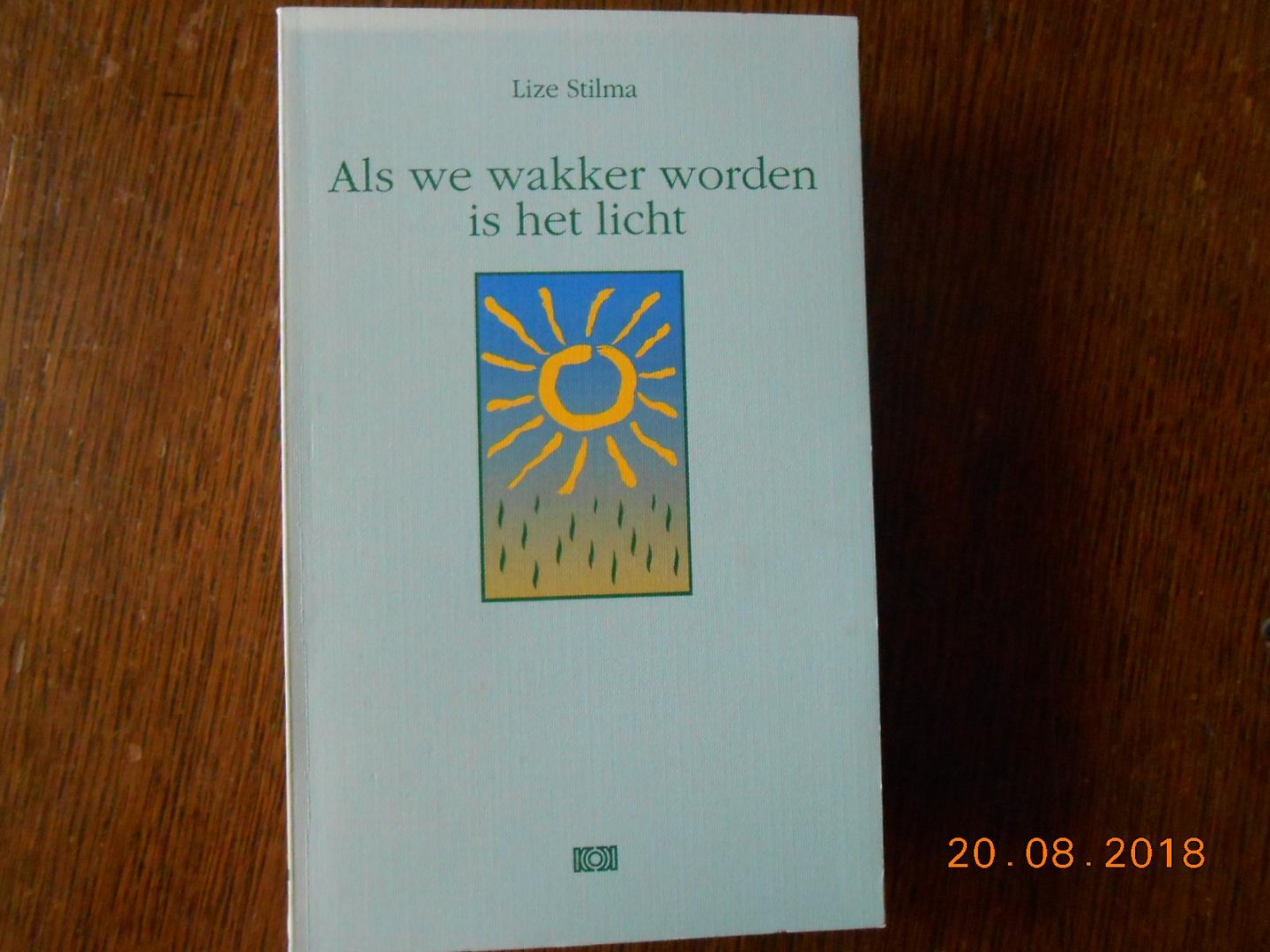 Lize Stilman - Als we wakker worden is het licht