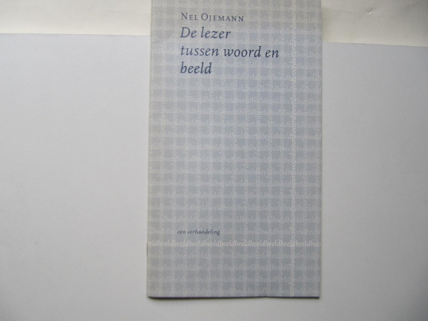 Nel Ojemann - De lezer tussen woord en beeld