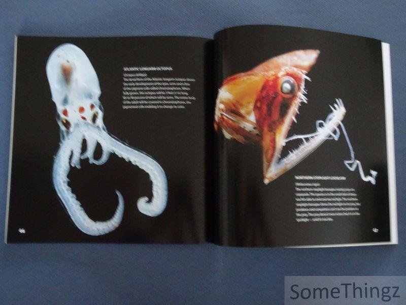 Hoyt, Erich. - Weird Sea Creatures.