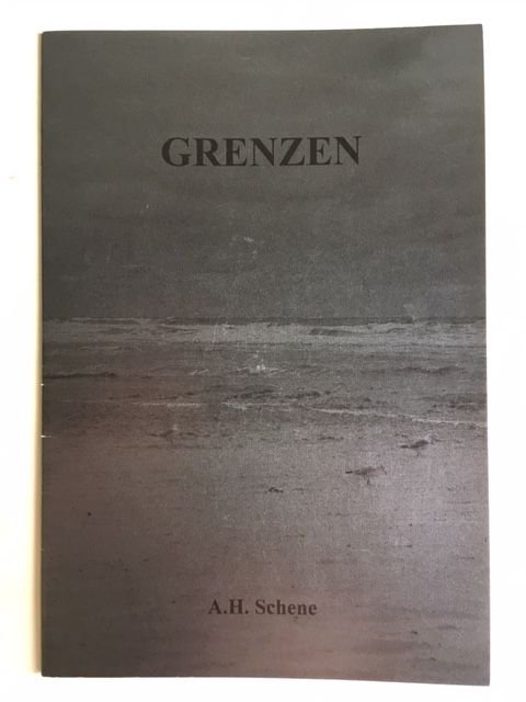 Schene, A.H. - Grenzen; Over de identiteit van de geestelijke gezondheidszorg