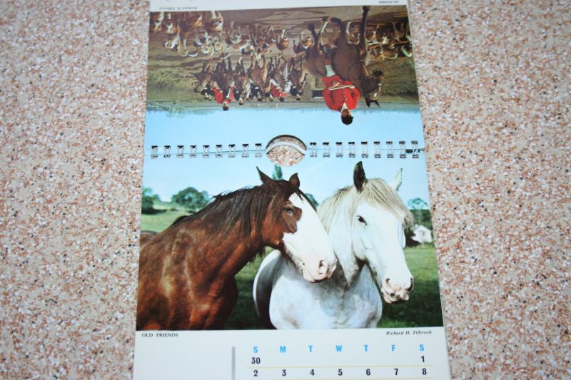  - A 1967 Jarrold Calendar of Horse Lovers