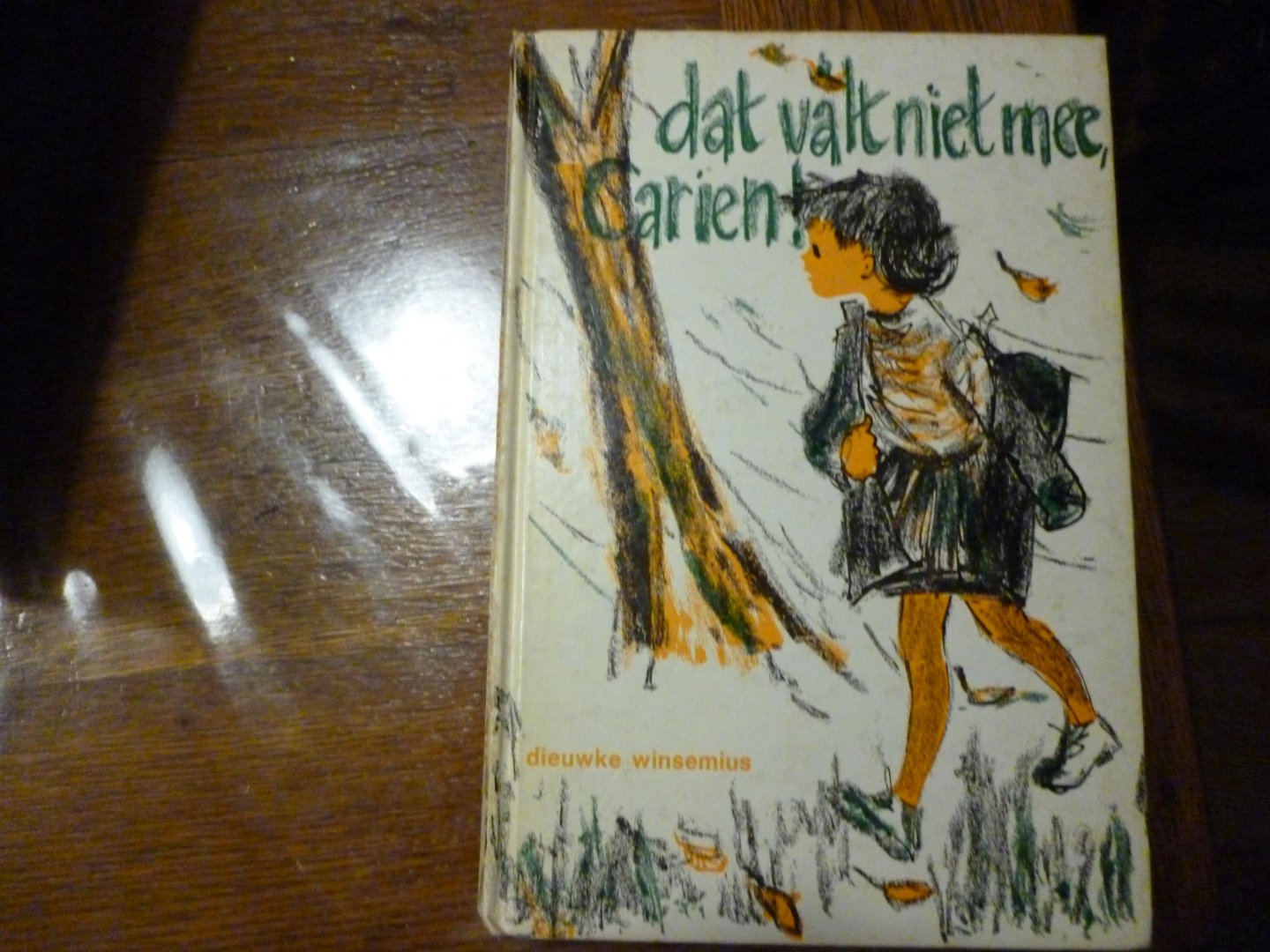 Winsemius Dieuwke - dat valt niet mee Carien!