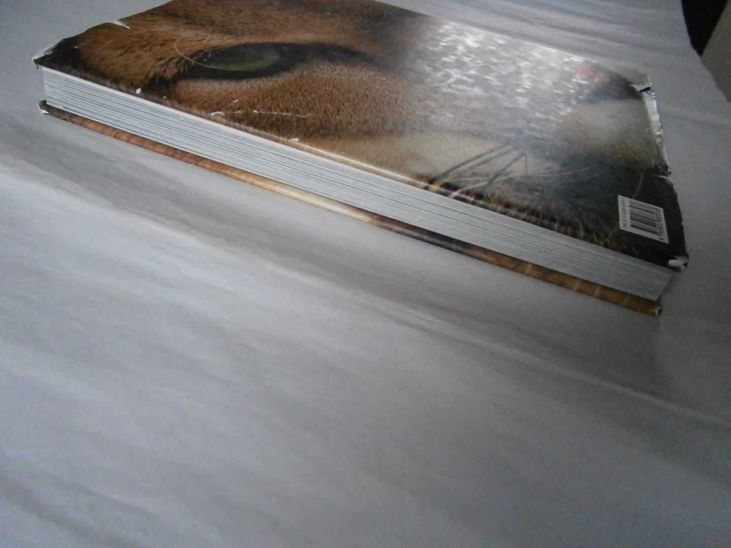 Lanting, Frans, Christine Eckstrom - Oog in oog