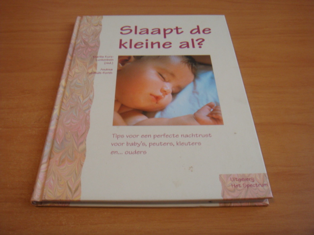 Kurz-Lunkenbein, Marillis - Slaapt de kleine al? - Tips voor een perfecte nachtrust voor baby's, peuter, kleuters en ... ouders