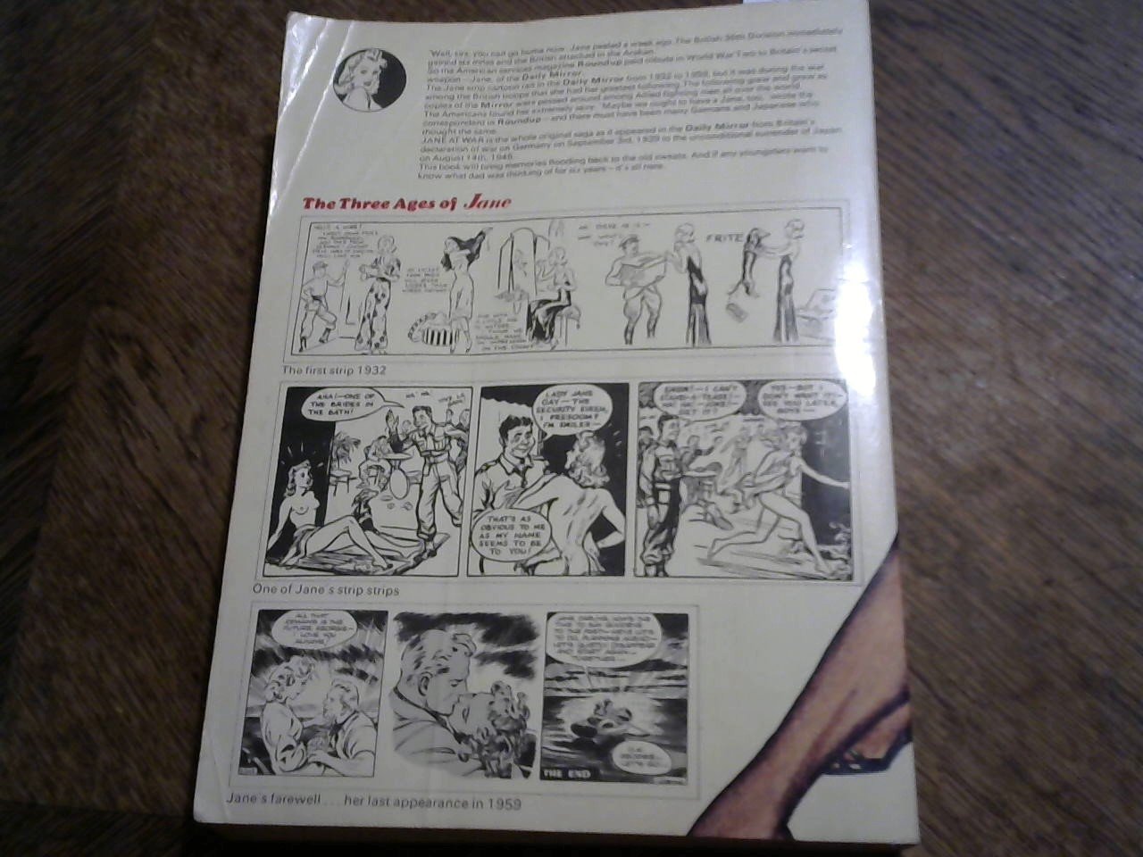 DAILY MIRROR NEWSPAPER - Jane at War, Jane of the Daily Mirror