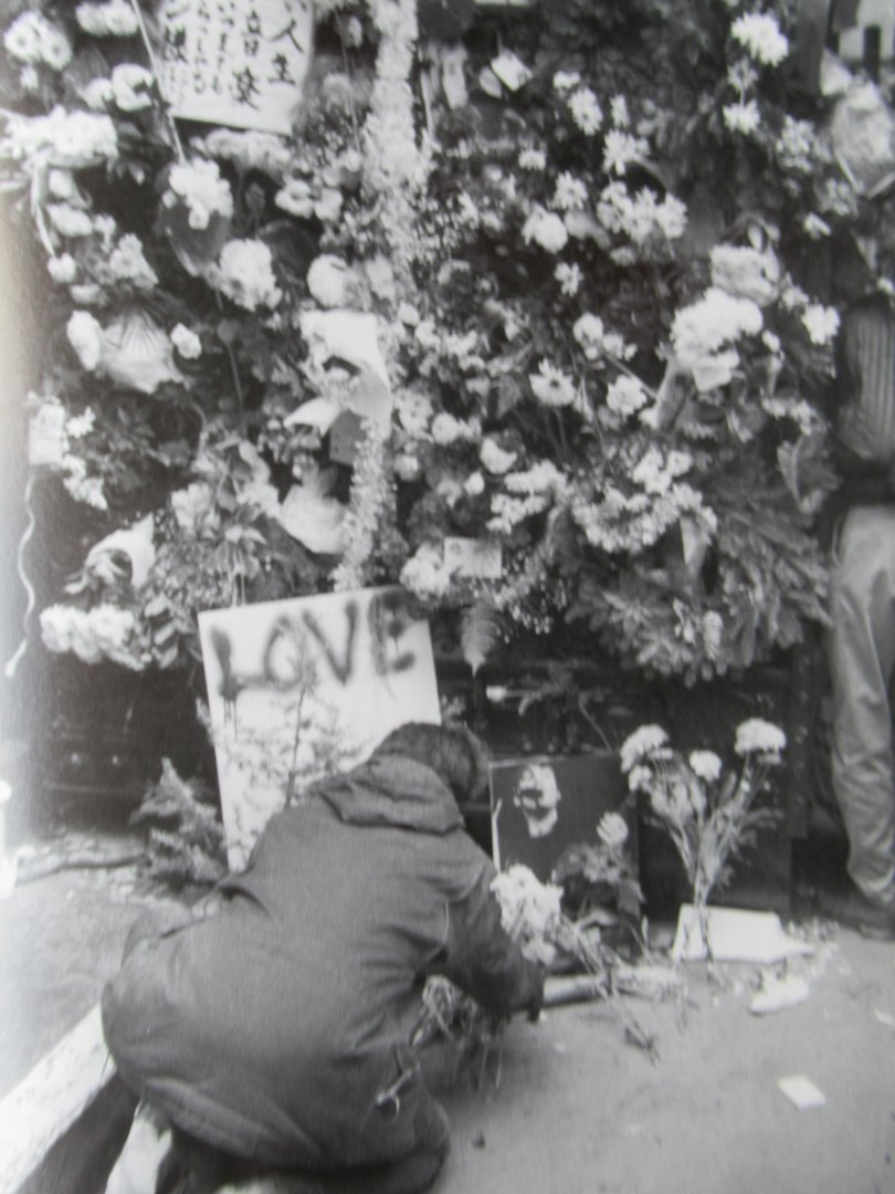 Delano, Julia - The Beatles album