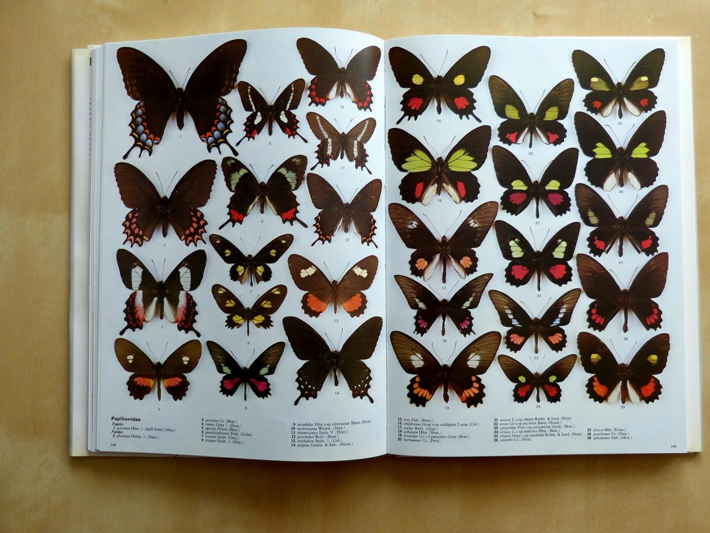 Smart, Paul - The illustrated Encyclopedia of the Buitterfly World