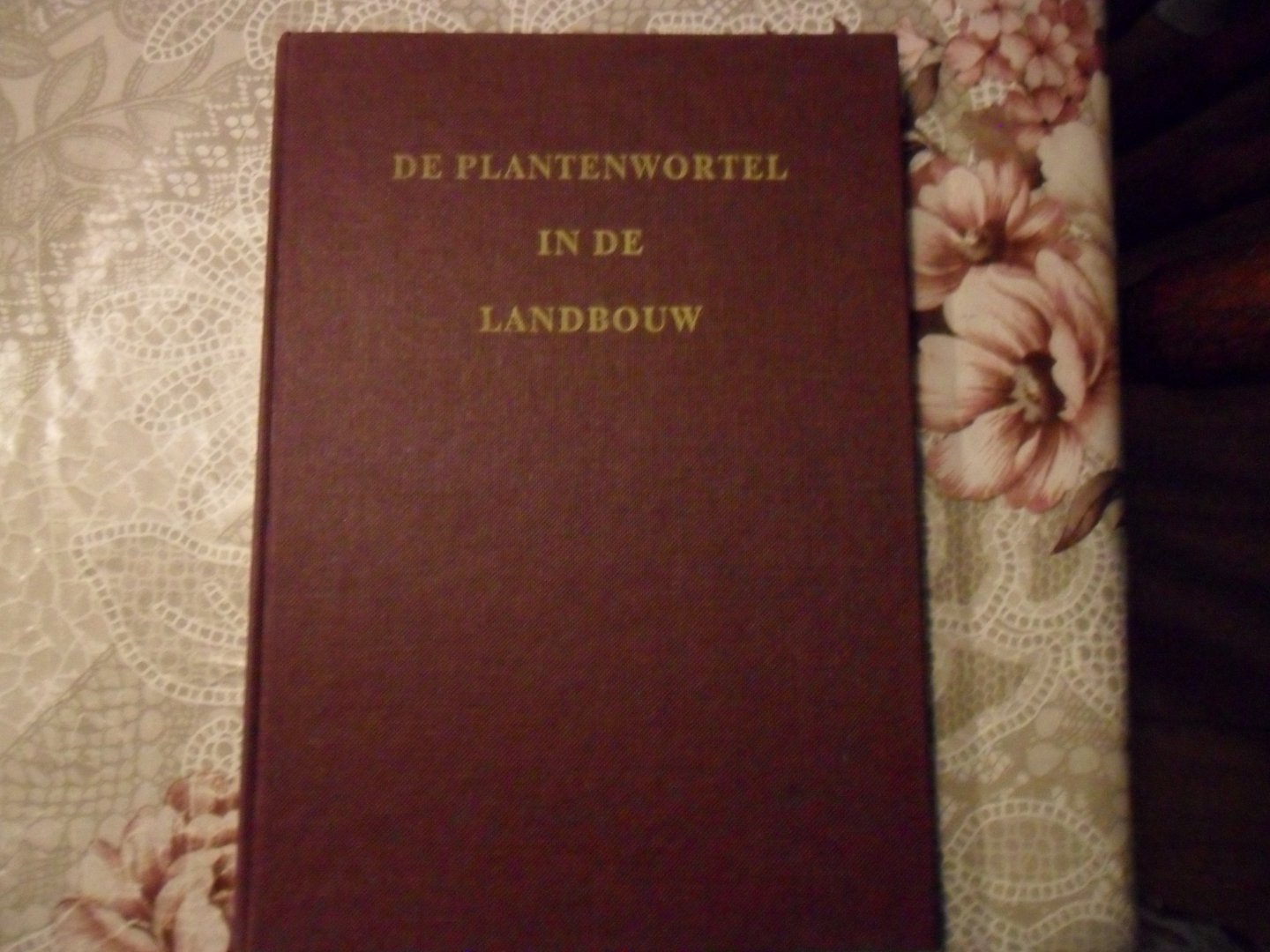  - De plantenwortel in de landbouw