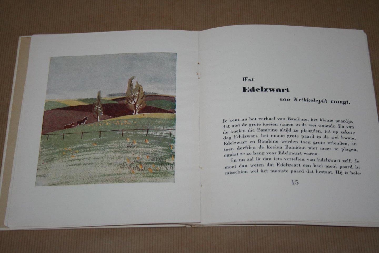 Josephine Willems - Bambino en Edelzwart