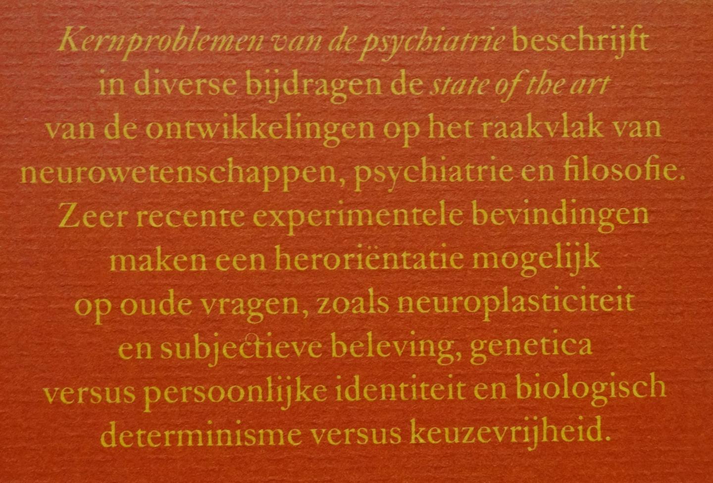 Boer, Johan A. den / Gerrit Glas / Antoine Mooij (redactie) - Kernproblemen van de psychiatrie [ isbn 9789085065289 ]