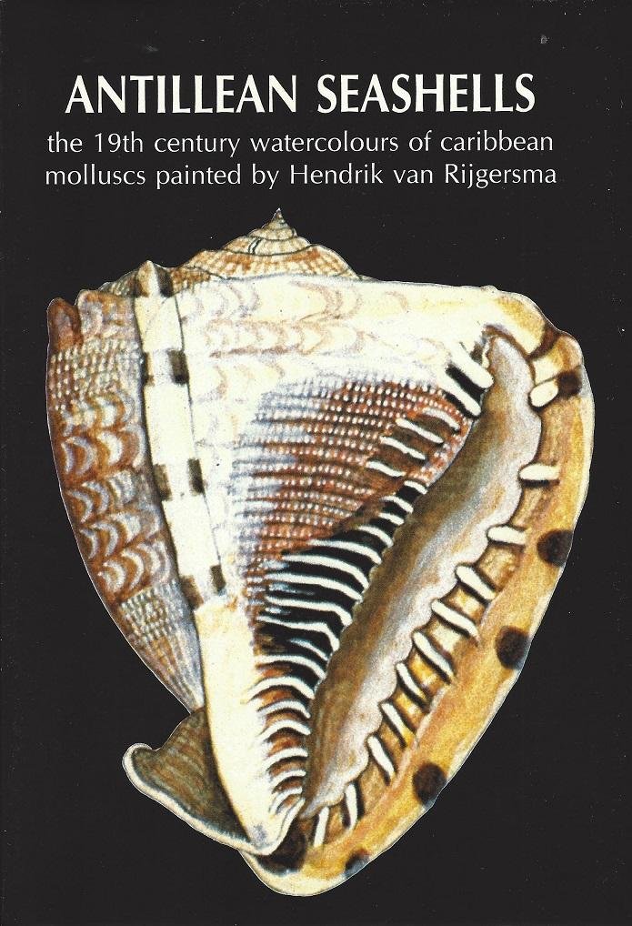 Coomans, Henry E. - Antillean seashells. The 19th century watercolours of Caribbean molluscs painted by Hendrik van Rijgersma.