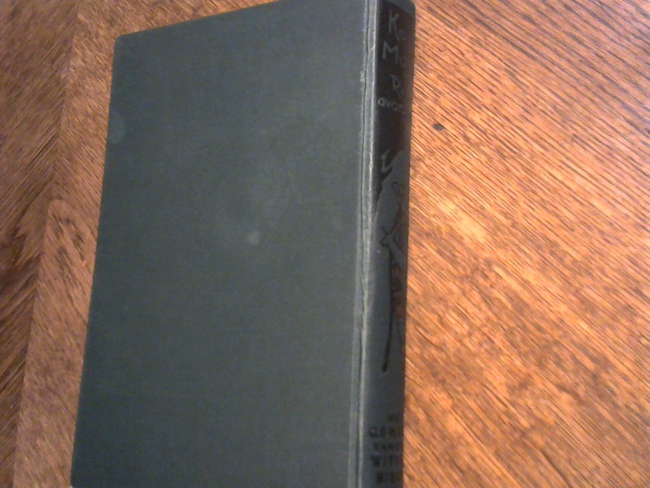 May, Karl - Het geheim van den Witte Bison. Karl May's reisavonturen