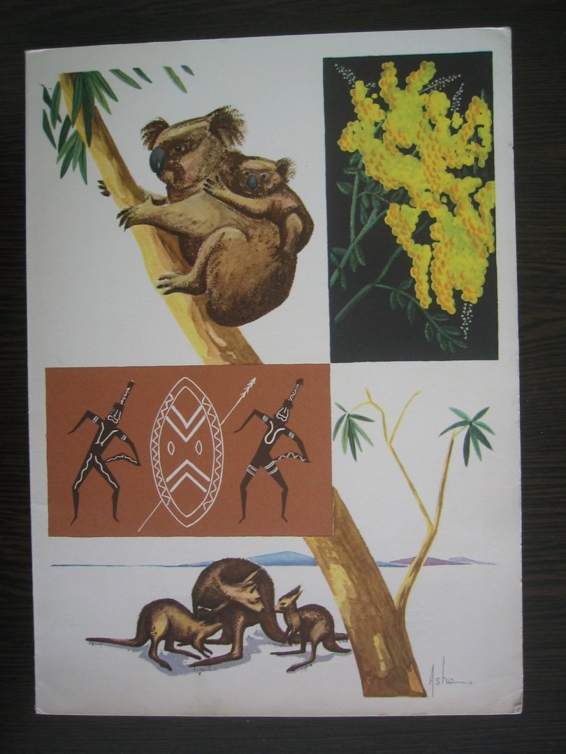 onbekend - D.M.S. Willem Ruys - serie (4) menukaarten 1964