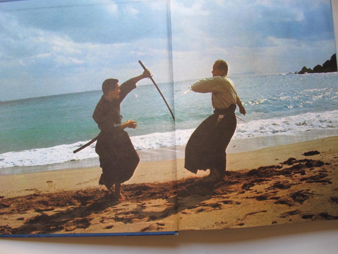 Michael Random - The Martial Arts - Swordsmanship Kendo Aikido Judo Karate