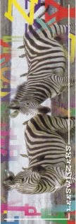 . - Leeswijzers - zebra's en letters