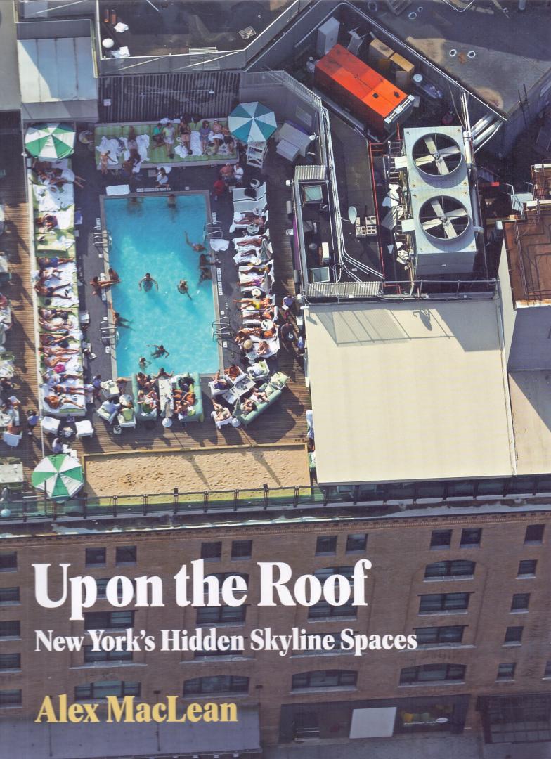 MacLean, Alex (ds1317) - Up on the roof; New York's hidden skyline spaces