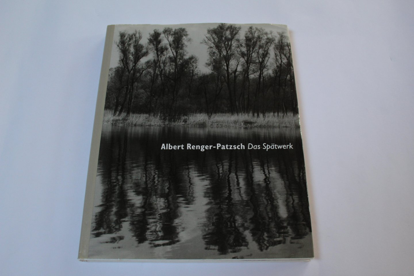 Albert Renger-Patzsch - Albert Renger-Patzsch: Das Spatwerk (Late Work)