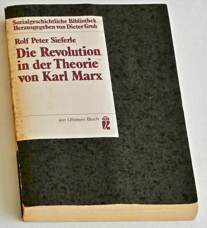 Sieferle, Rolf Peter - Die Revolution in der Theorie von Karl Marx