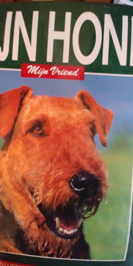 Bruin, Stephe (red) - MIJN HOND mijn vriend AF