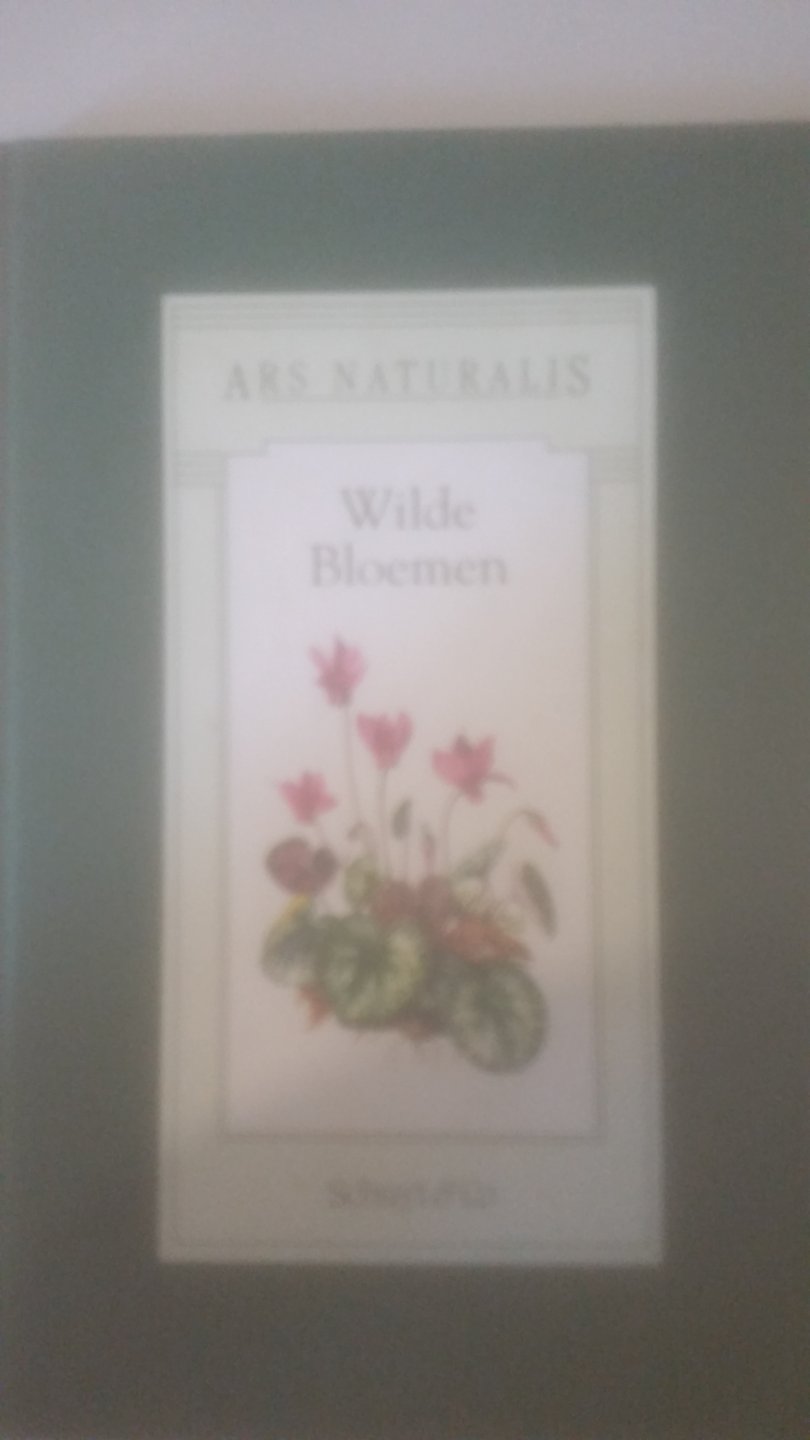  - Wilde bloemen