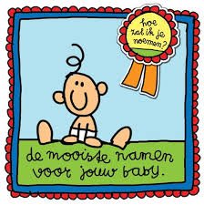 Harms, Babette - Hoe zal ik je noemen ? de mooiste namen voor jouw baby