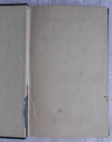 Nieritz, Gustav - Die Schwanen-Jungfrau. Belehrende Sage der Vorzeit