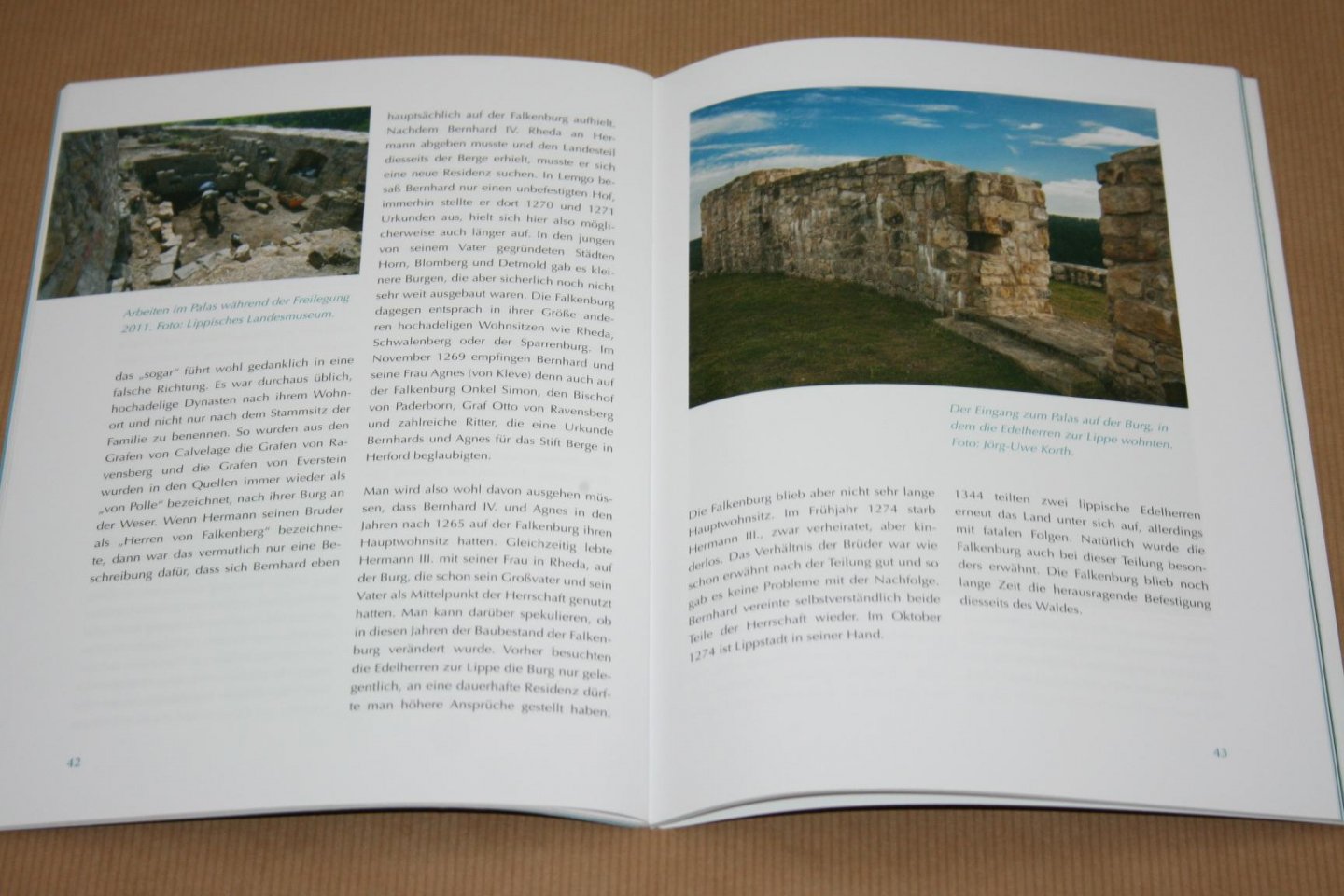 Frank Huismann - Falkenburger Geschichten