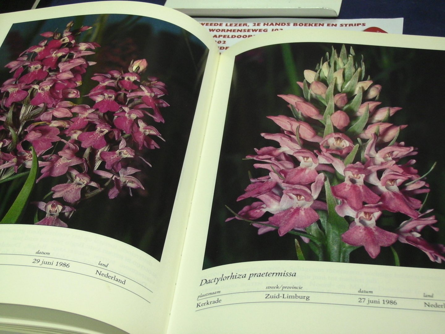 Kreutz, C. A. J. - De verspreiding van de inheemse orchideeën in Nederland