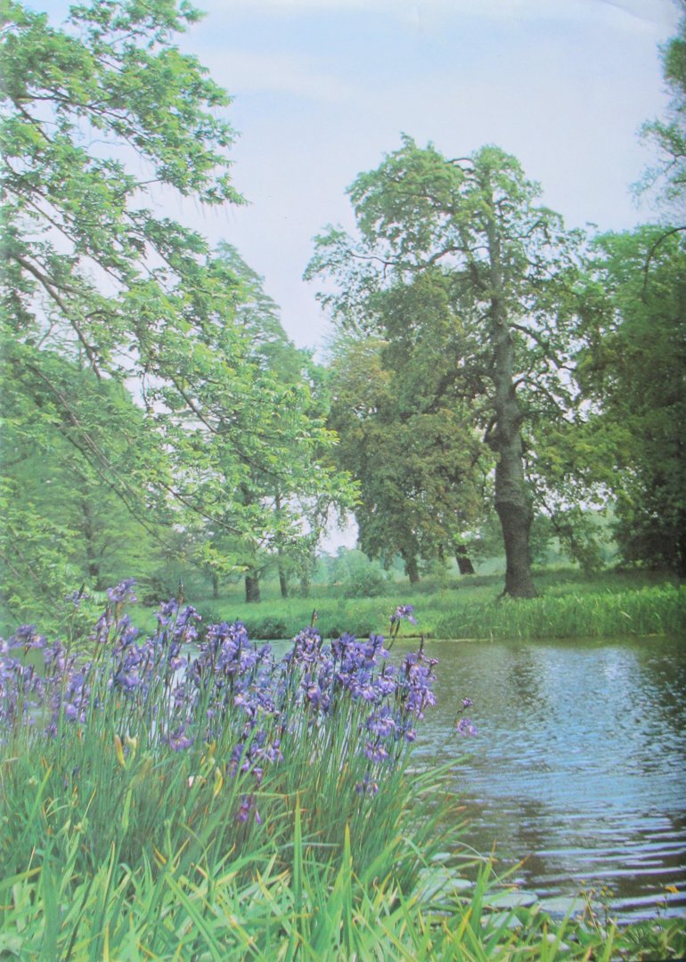 Jarrett, David - The English Landscape Garden