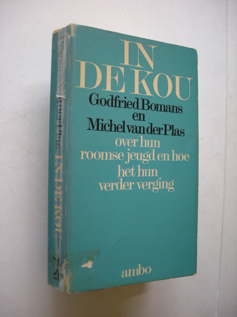 Bomans,Godfried en Plas, Michel van der - In de kou, over hun roomse jeugd en hoe het hun verder verging