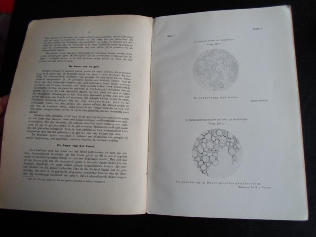 Katz, Dr.J.R. - Onderzoekingen naar het oudbakken worden van brood en de middelen om dit te voorkomen, Deel 1, Het versch houden van brood