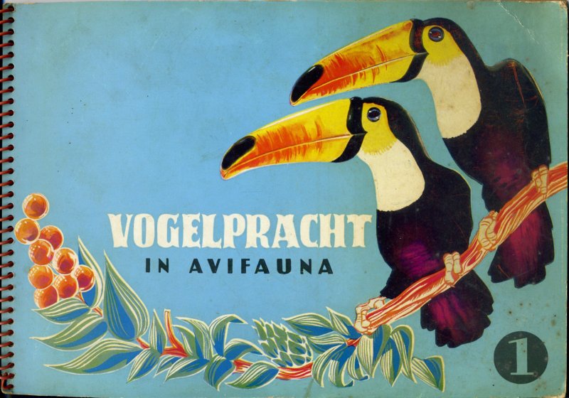 Wigman, A.B. - Vogelpracht in Avifauna. Deel1. Foto`s: Kees v.d. Burg