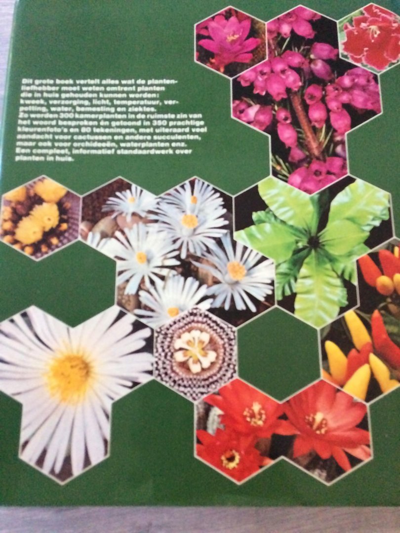 Pizetti - Handboek van kamerplanten cactussen / druk 1