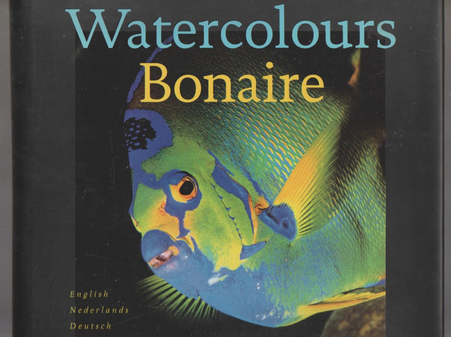  - watercolours Bonaire